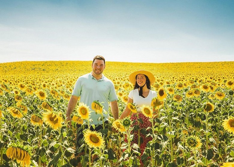  Khách du lịch dừng xe chụp ảnh giữa cánh đồng hoa Namaqualand