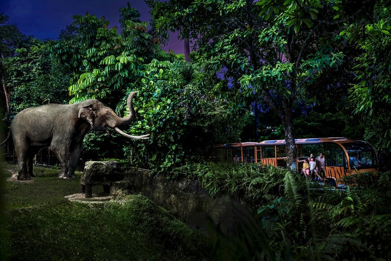  Safari lodge về đêm giữa khu bảo tồn hoang dã