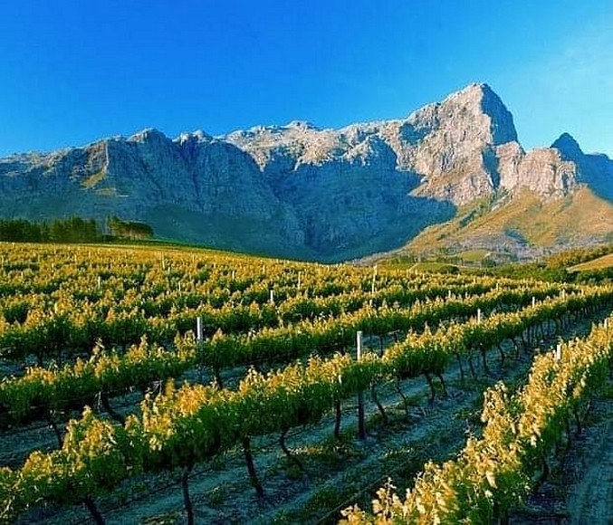 Thung lũng Franschhoek nơi người Huguenot Pháp từng định cư