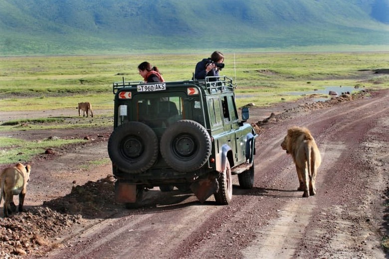 Xe safari di chuyển an toàn trong khu bảo tồn có kiểm soát